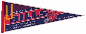 T-1991 AFC East Champs 2.JPG (11779 bytes)