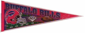 T-Bills AFC East.JPG (11498 bytes)