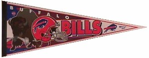 T-Snorting Buffalo.JPG (11514 bytes)