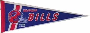 T-bills red white blue 3 quarters.JPG (10353 bytes)
