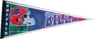 T-buffalo shadow 2.JPG (12496 bytes)