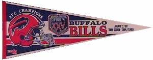 T-sb25 afc champs.JPG (12625 bytes)